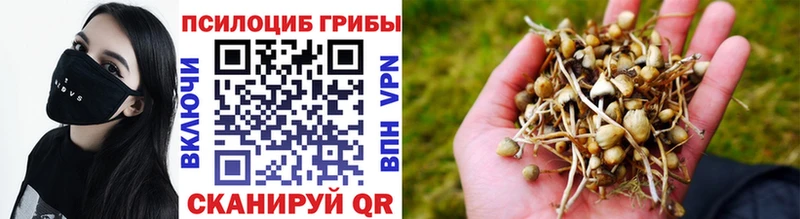 Псилоцибиновые грибы мухоморы  Старица 